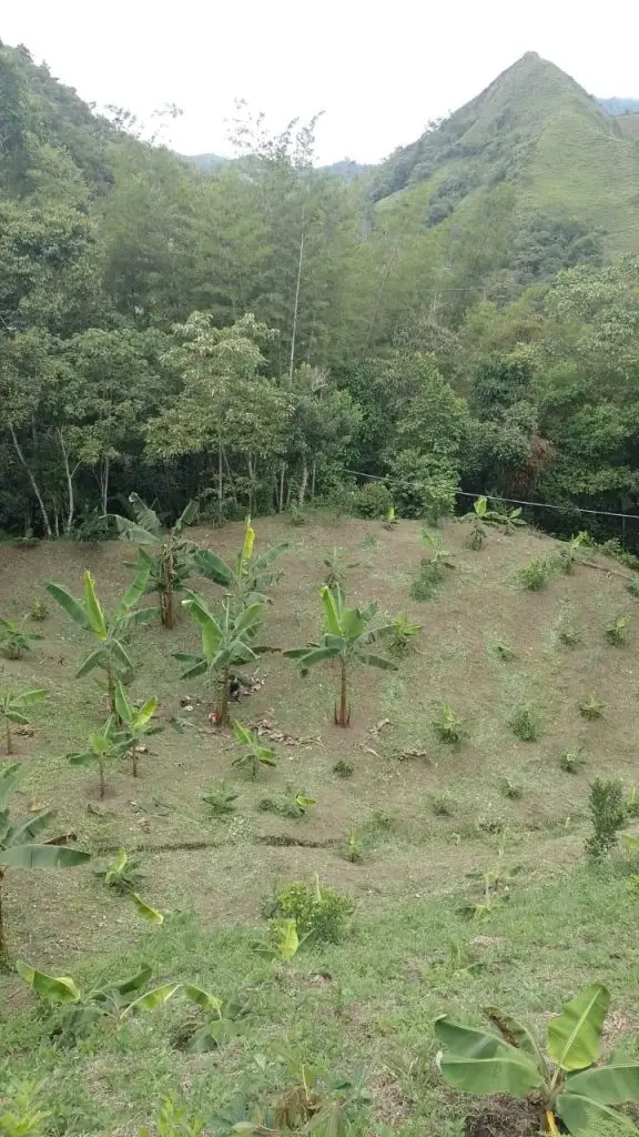 WhatsApp Image 2025 05 13 at 2.19.40 PM