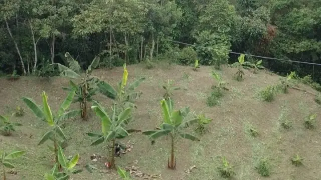 WhatsApp Image 2025 05 13 at 2.19.40 PM