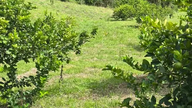 WhatsApp Image 2025 07 08 at 5.46.00 PM 1