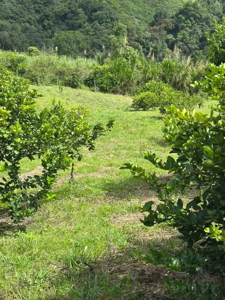 WhatsApp Image 2025 07 08 at 5.46.00 PM 1