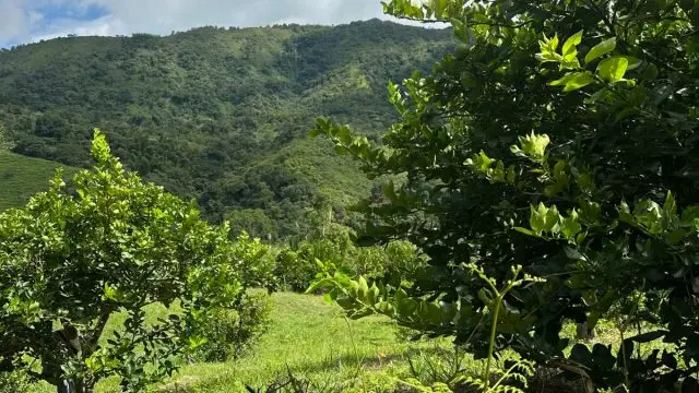 WhatsApp Image 2025 07 08 at 5.46.00 PM 2