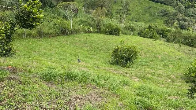 WhatsApp Image 2025 07 08 at 5.46.00 PM