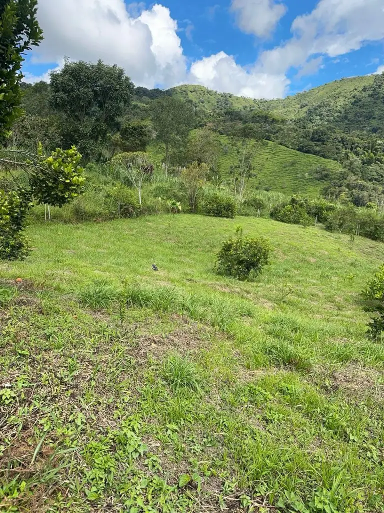 WhatsApp Image 2025 07 08 at 5.46.00 PM