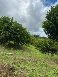 Finca El Arado – 6.500 m² de paraíso natural en La Peña, Cundinamarca