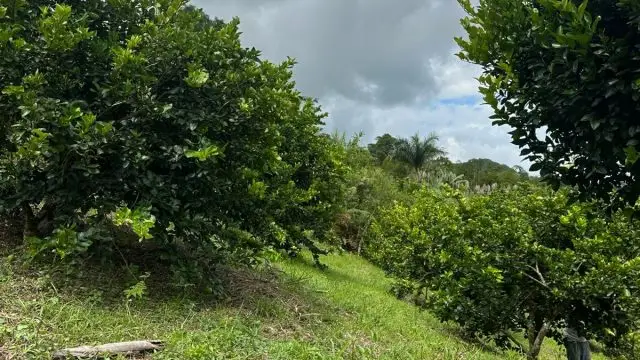 WhatsApp Image 2025 07 08 at 5.46.01 PM 1