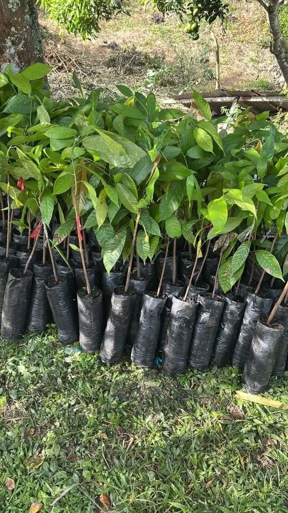 WhatsApp Image 2025 07 08 at 5.46.01 PM