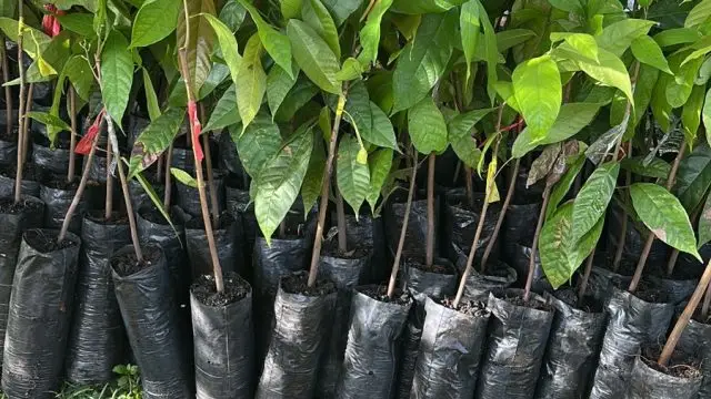 WhatsApp Image 2025 07 08 at 5.46.01 PM