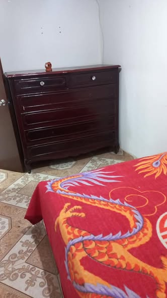 481957587_1191056802539673_2638252200067872799_n