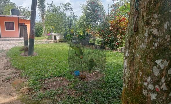 574570844_122153975774612292_4704808442066686988_n