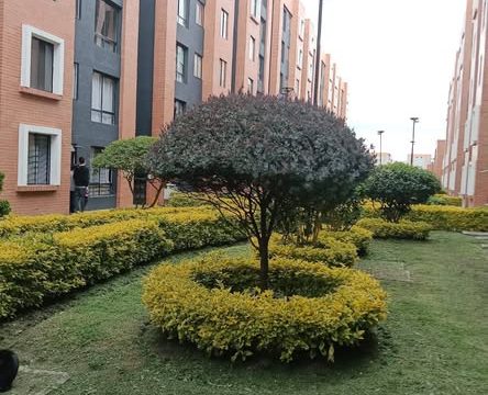 575104834_25184834754499477_1734587428211039118_n