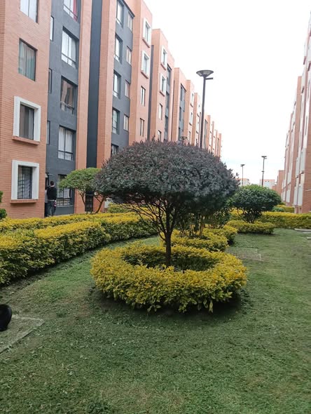 575104834_25184834754499477_1734587428211039118_n