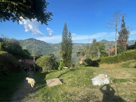 Imagen-de-WhatsApp-2025-10-25-a-las-14.10.47_26bf0b4f