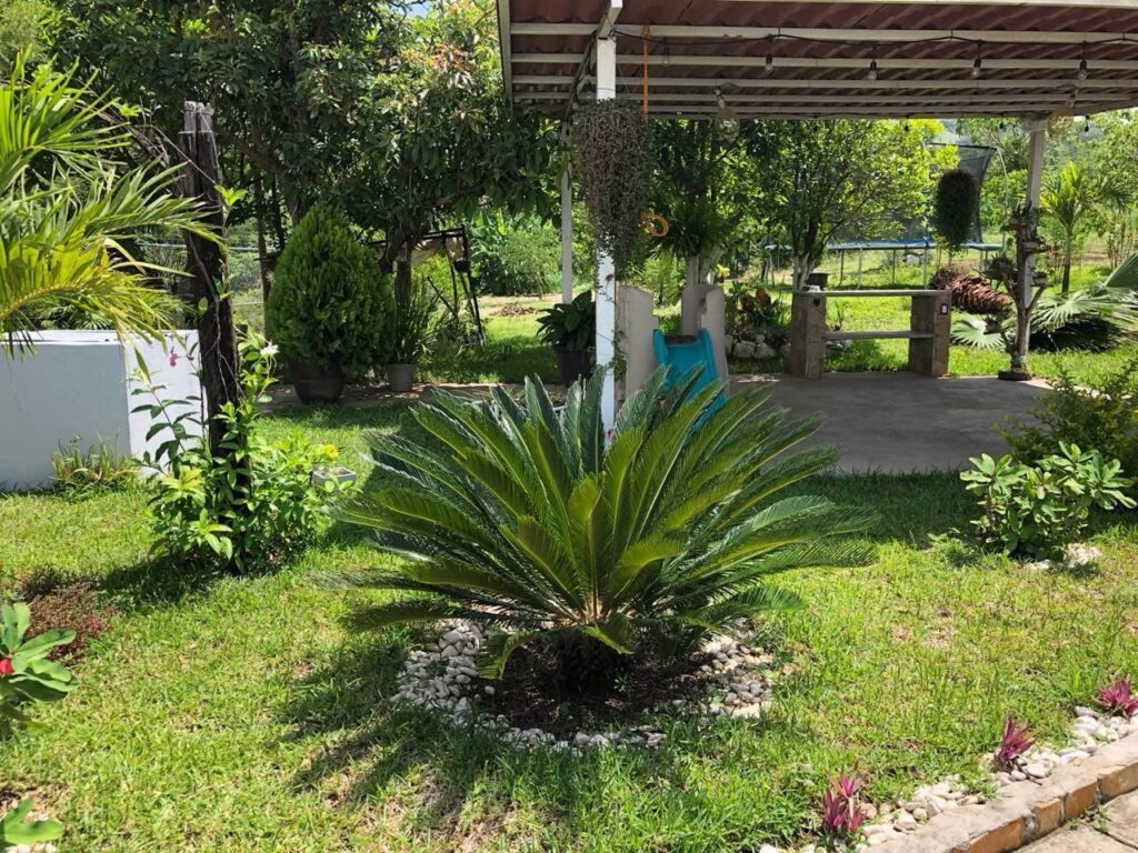 Foto del inmueble